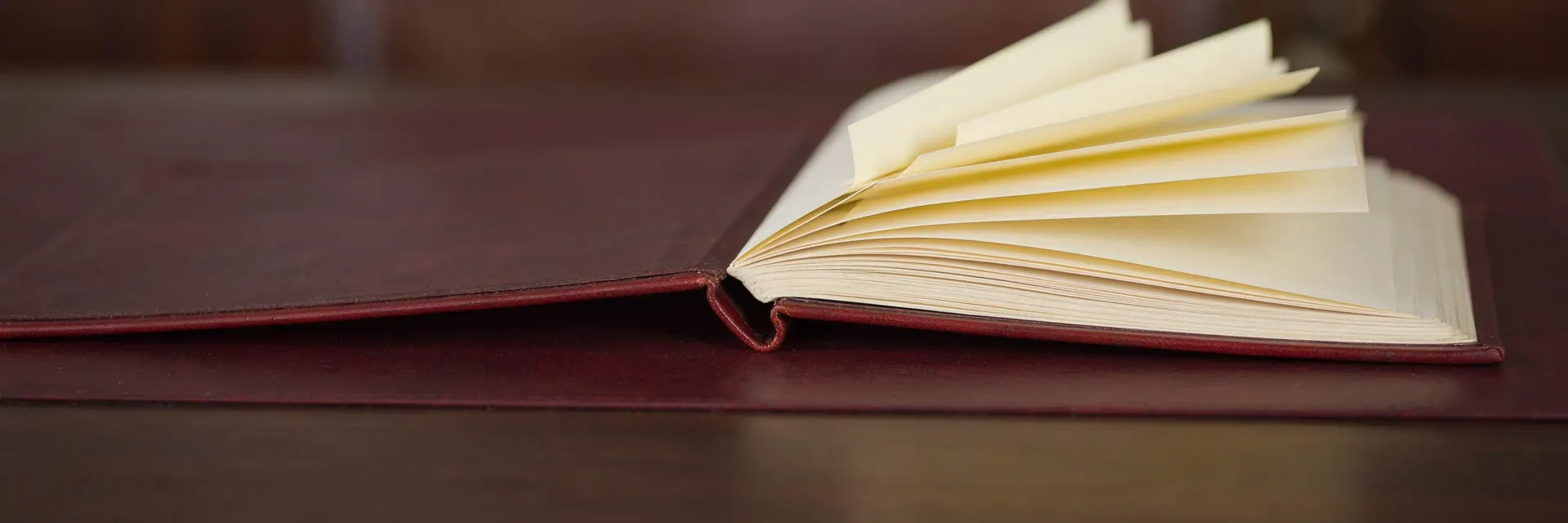 An open leather portfolio binder with a fanned row of blank tab dividers, standing for individually verifiable records rather than a template.